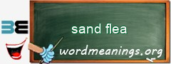 WordMeaning blackboard for sand flea
